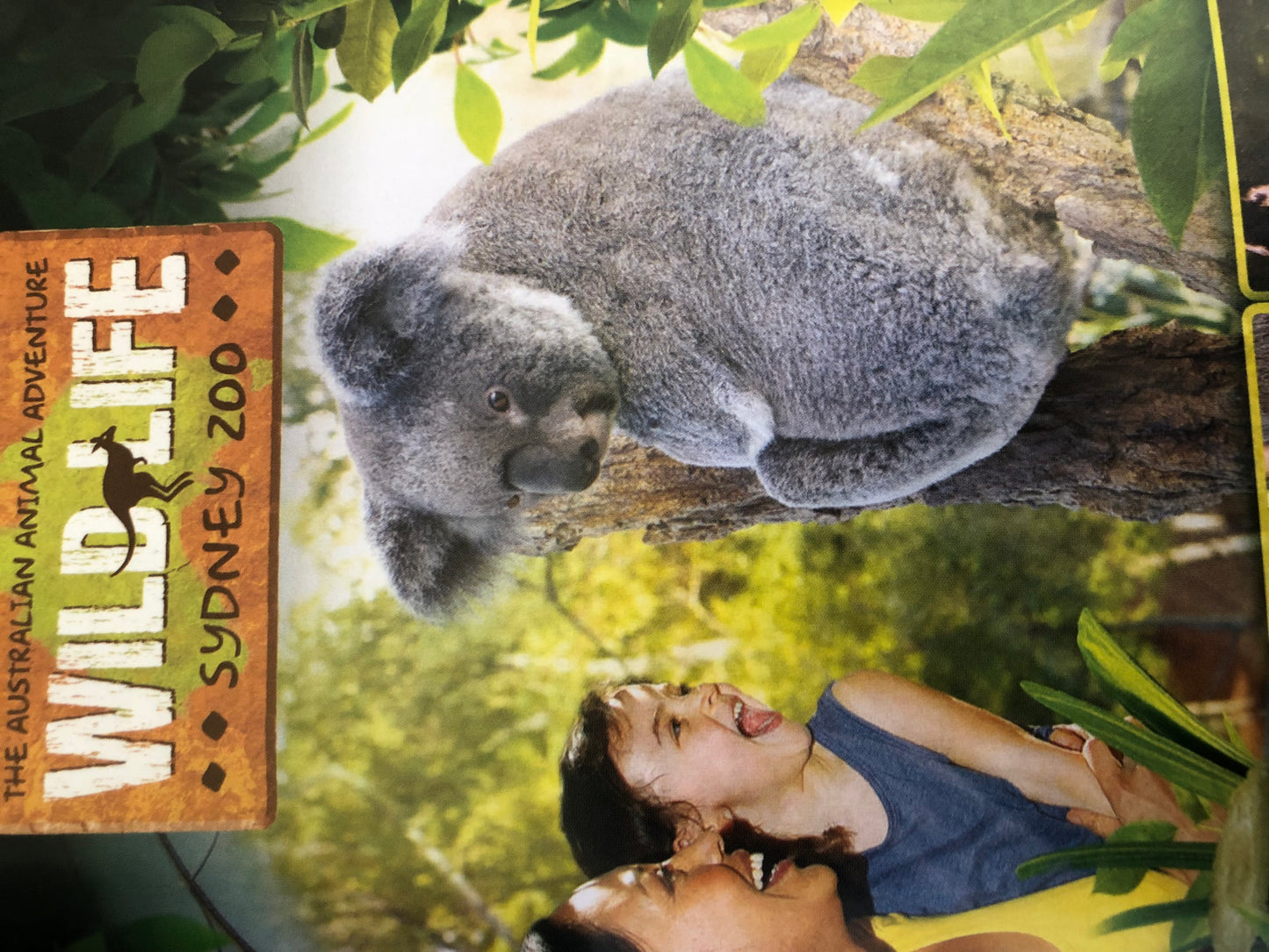 Sydney Tours